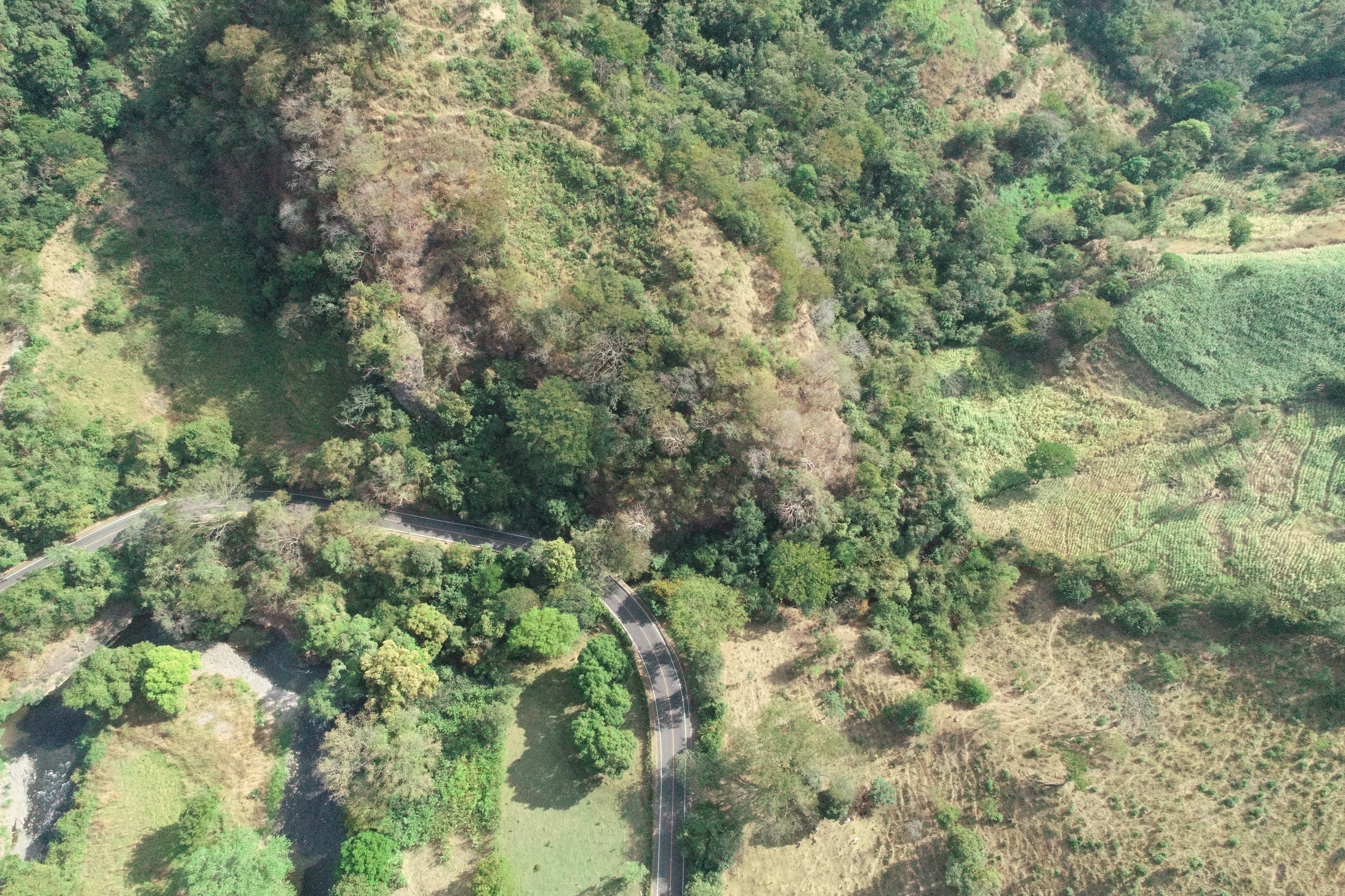Imagen de Zonificación Ambiental y los Usos del Suelo para la región Nororiental