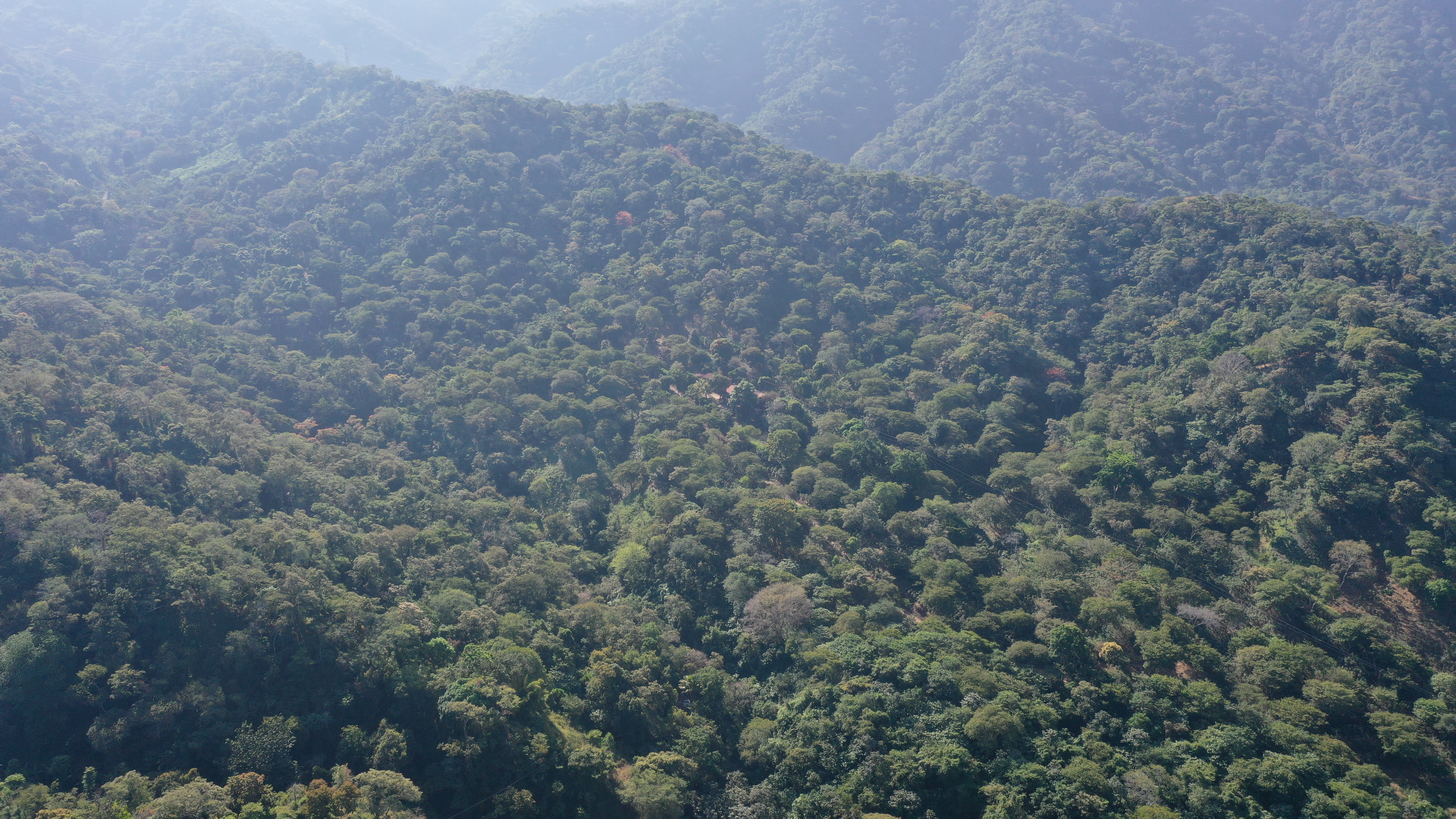 Imagen de Zonificación Ambiental y los Usos del Suelo para el municipio de Nuevo Cuscatlán