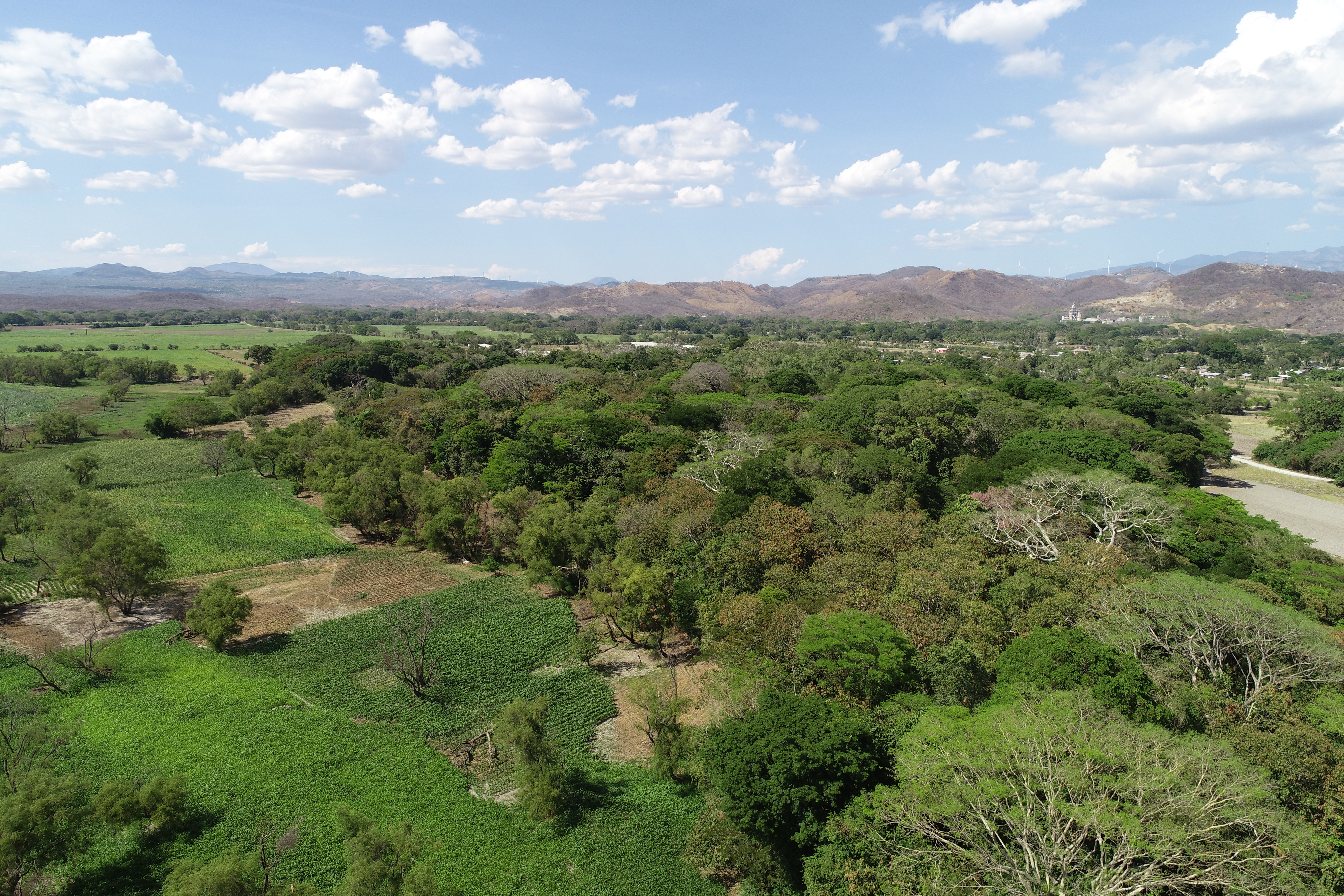 Imagen de Reservas de biosfera