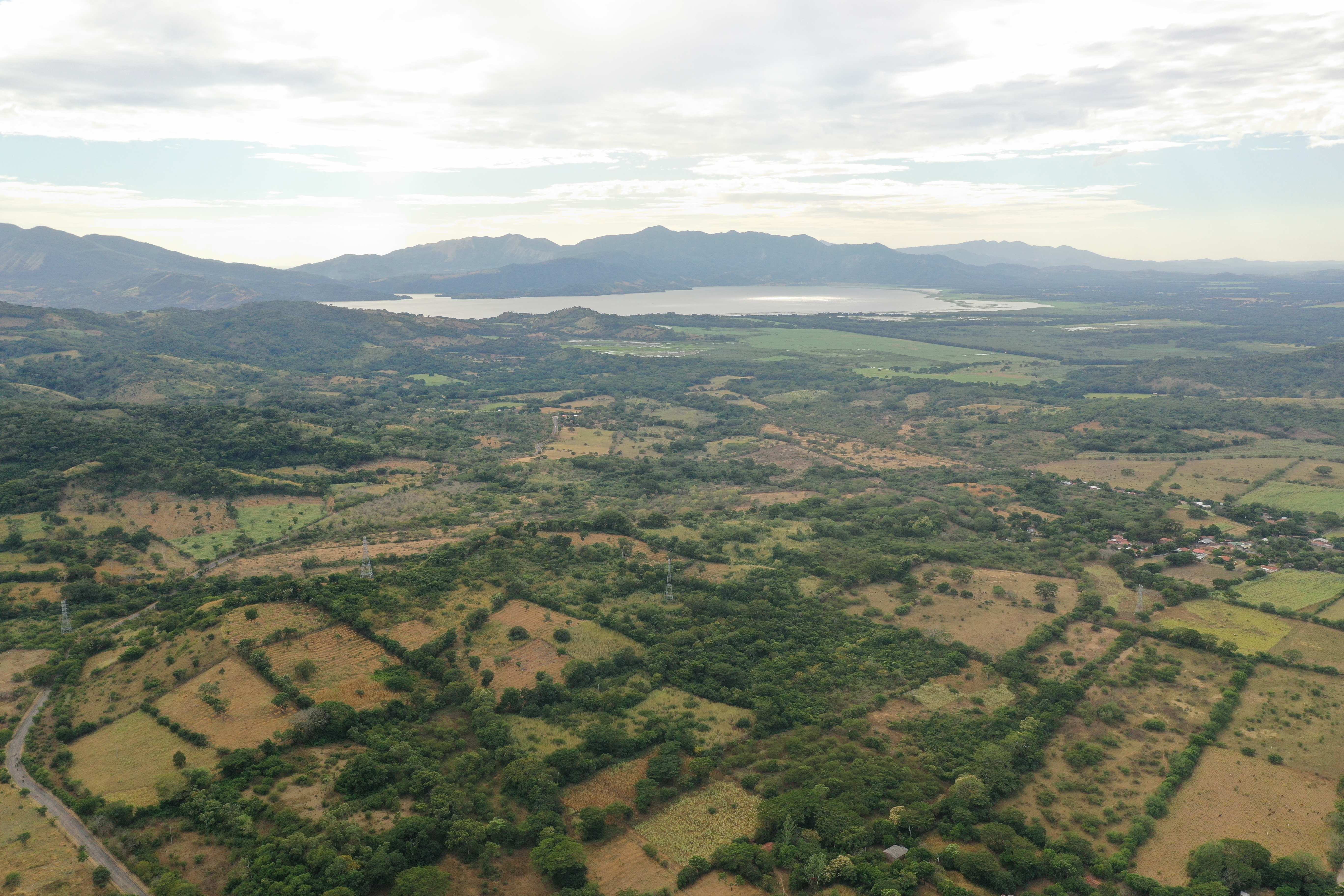 Imagen de Ordenamiento ambiental