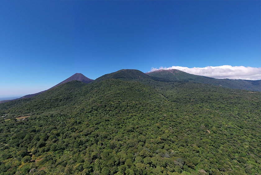 Imagen de Ecosistemas terrestres y acuáticos