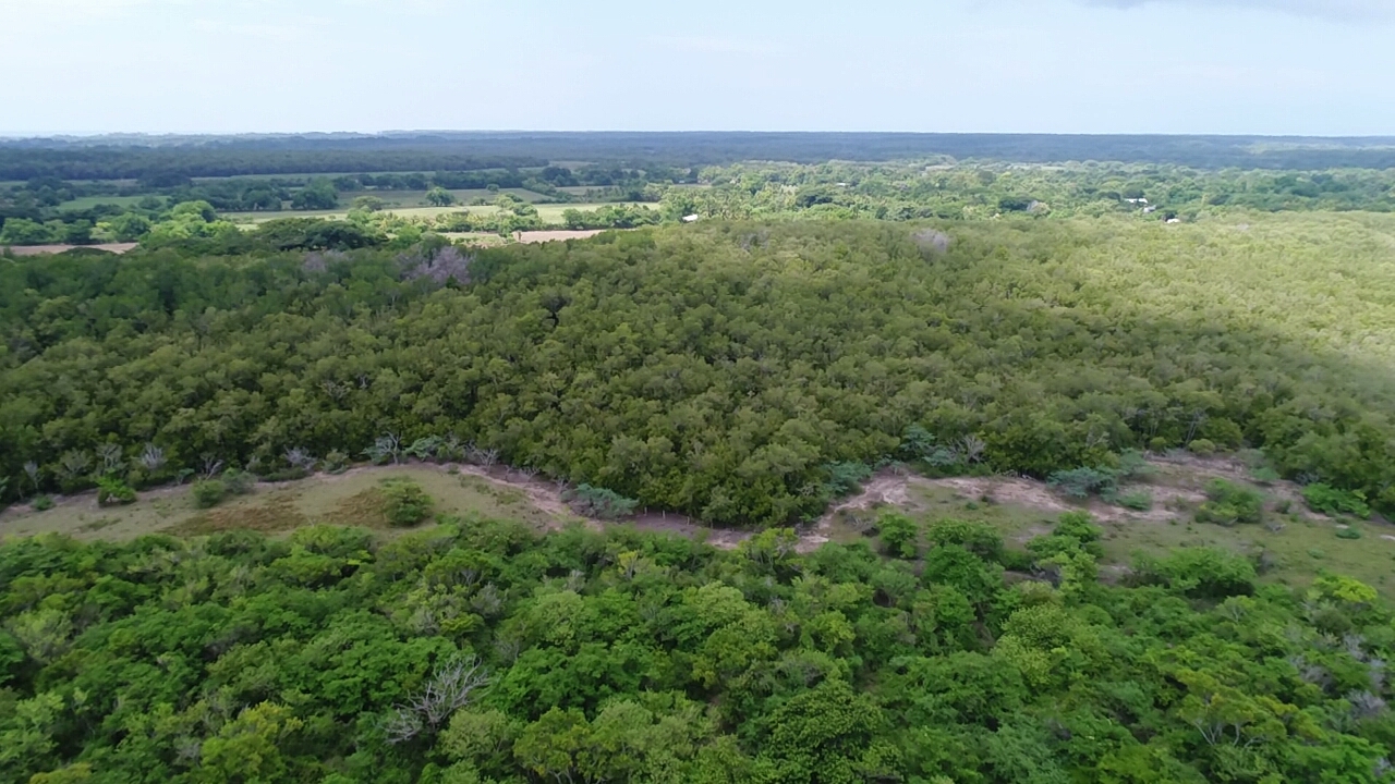 Imagen de Atributos del paisaje